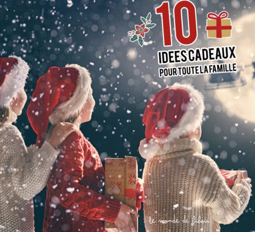 10 Idées De Cadeaux De Noël Pour Toute La Famille - Le Monde De Bibou