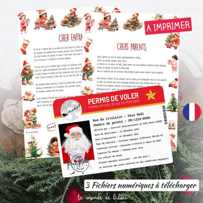 Jeu numérique Le Permis du Père Noël