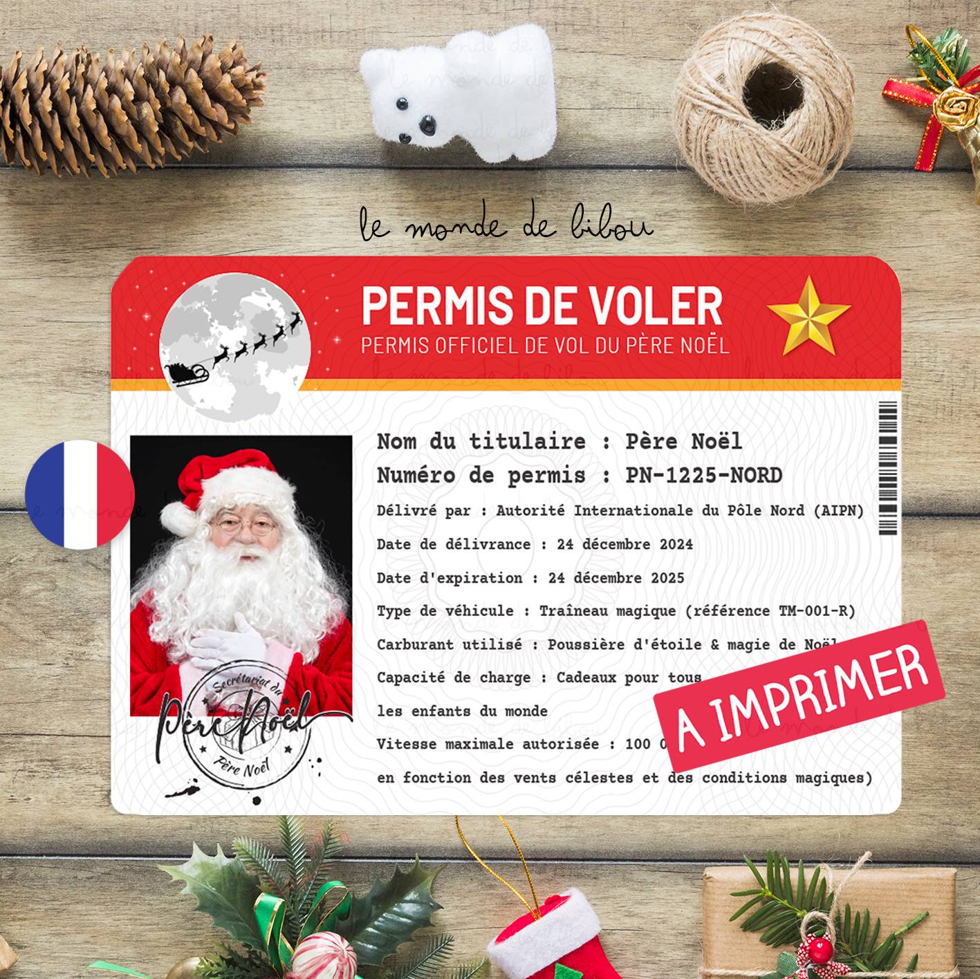 Jeu numérique Le Permis du Père Noël