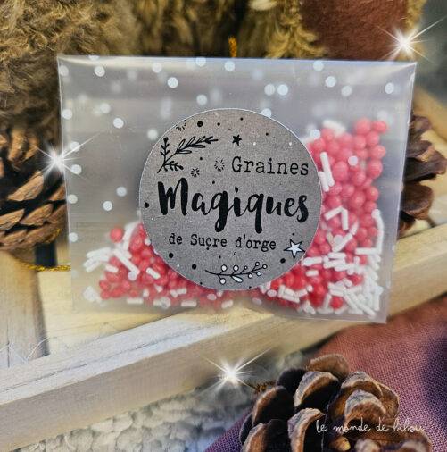 Kit Noël Graines Magiques Sucres d'Orges